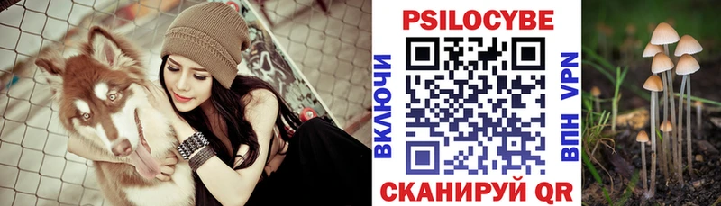 Купить где  Рыльск  Галлюциногенные грибы MAGIC MUSHROOMS 